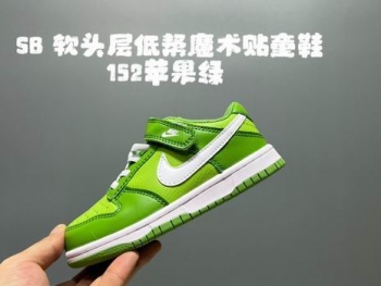 free shipping wholesale Dunk SB Kid Shoes