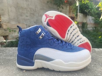 cheap wholesale nike air jordan 12 shoes