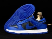 dunk sb shoes free shipping for sale