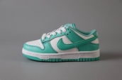 free shipping wholesale Dunk SB Kid Shoes