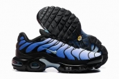 free shipping wholesale Nike Air Max TN PLUS men shoes